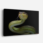 cuadro canvas reptiles anfibios serpiente verde hipnótica horizontal