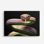 cuadro canvas reptiles anfibios víbora irisada amenazante horizontal