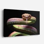 cuadro canvas reptiles anfibios víbora irisada amenazante horizontal