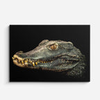 cuadro canvas reptiles anfibios perfil de caimán ancestral horizontal