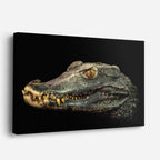 cuadro canvas reptiles anfibios perfil de caimán ancestral horizontal