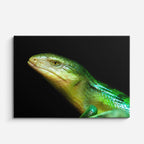 cuadro canvas reptiles anfibios lagarto verde tropical horizontal