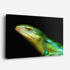 cuadro canvas reptiles anfibios lagarto verde tropical horizontal