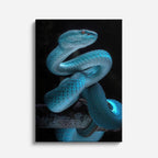 cuadro canvas reptiles anfibios víbora azul hipnótica vertical