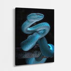cuadro canvas reptiles anfibios víbora azul hipnótica vertical