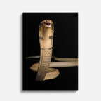cuadro canvas reptiles anfibios cobra real despierta vertical