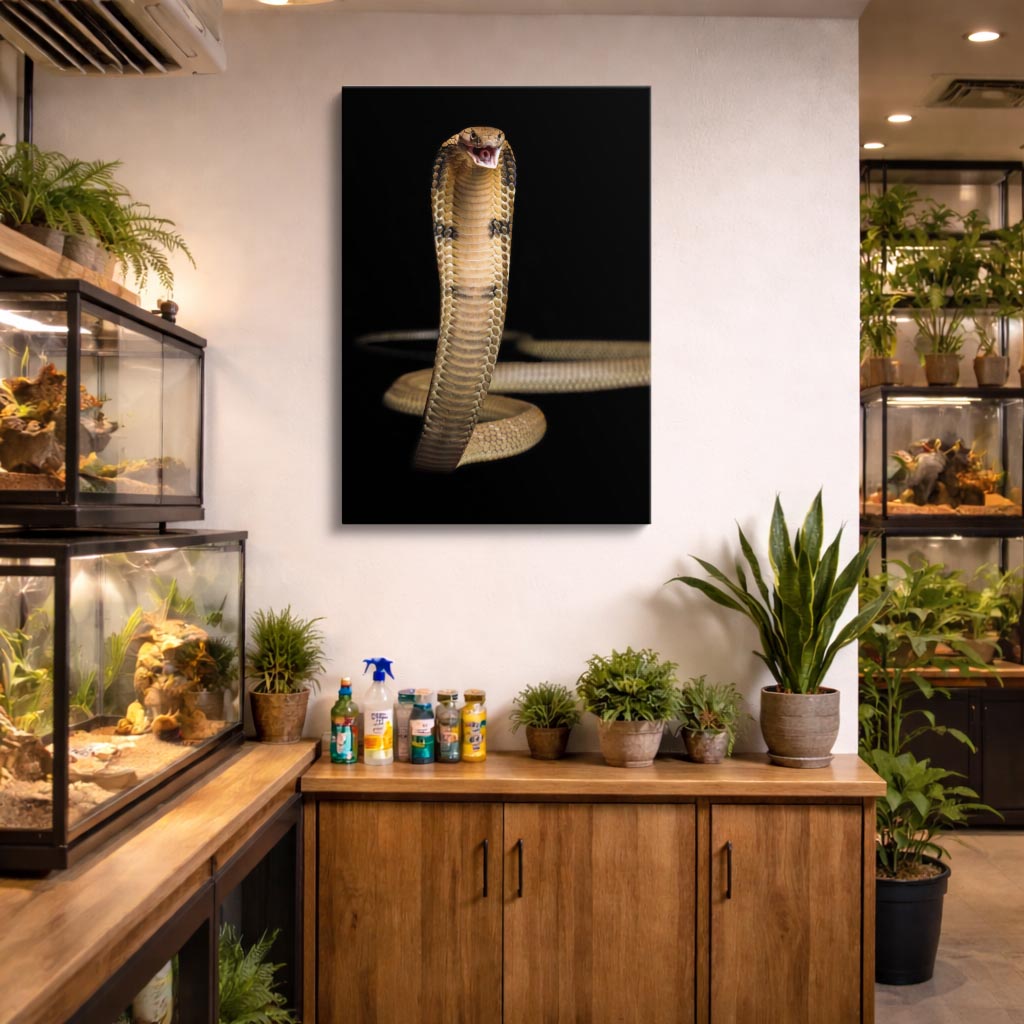 cuadro canvas reptiles anfibios cobra real despierta vertical