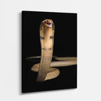 cuadro canvas reptiles anfibios cobra real despierta vertical