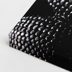 cuadro canvas reptiles anfibios serpiente negra nocturna vertical