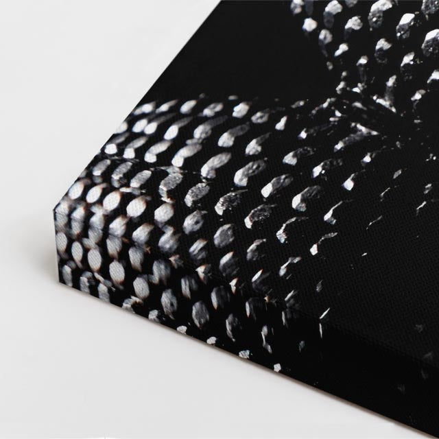 cuadro canvas reptiles anfibios serpiente negra nocturna vertical