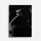 cuadro canvas reptiles anfibios serpiente negra nocturna vertical