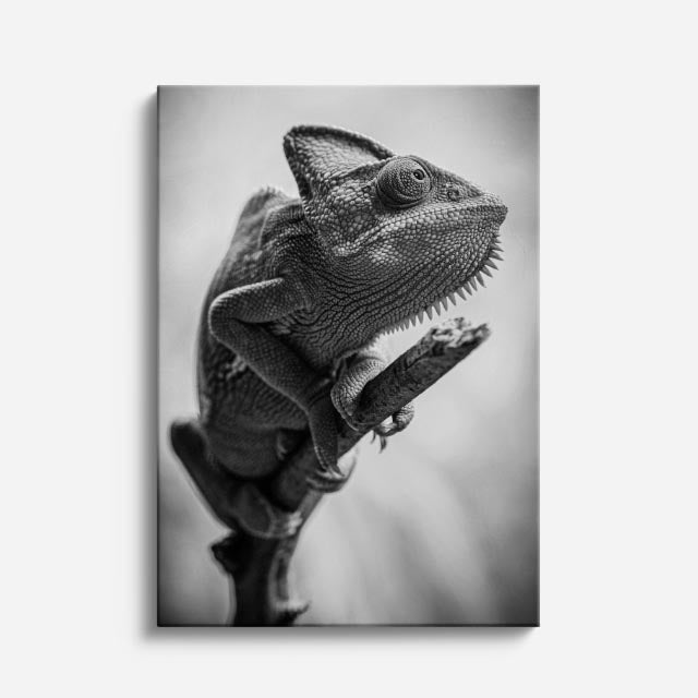cuadro canvas reptiles anfibios camaleón blanco silencioso vertical