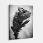 cuadro canvas reptiles anfibios camaleón blanco silencioso vertical