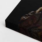 cuadro canvas reptiles anfibios rana verde tropical vertical