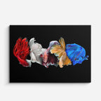 cuadro canvas vida marina rapsodia de bettas horizontal