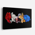 cuadro canvas vida marina rapsodia de bettas horizontal