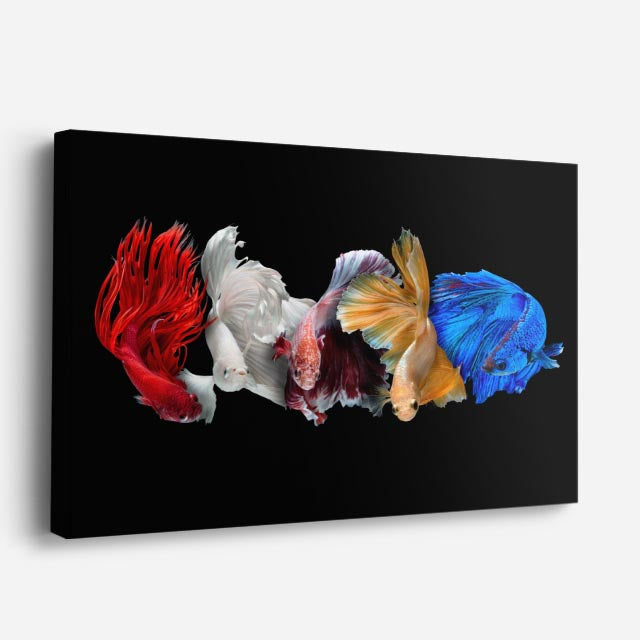 cuadro canvas vida marina rapsodia de bettas horizontal