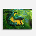 cuadro canvas vida marina esmeralda del acuario horizontal
