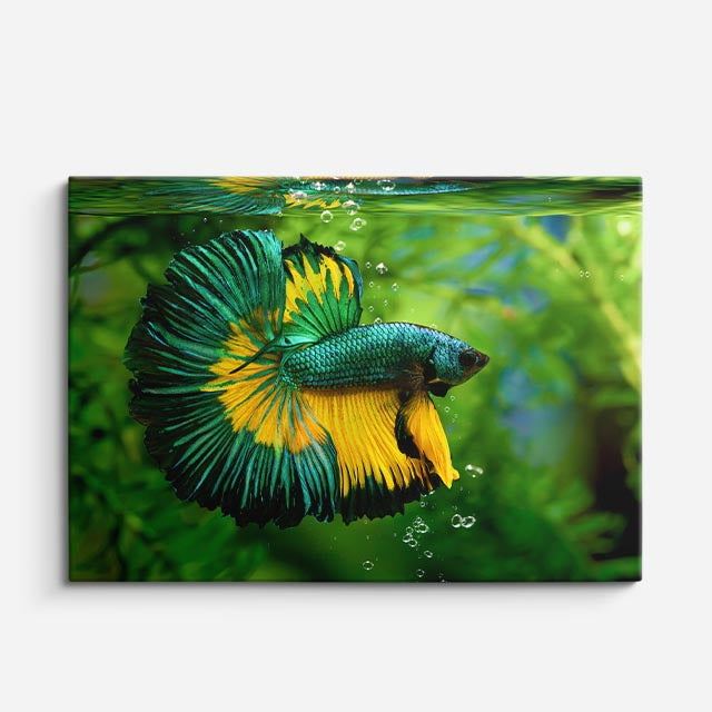 cuadro canvas vida marina esmeralda del acuario horizontal