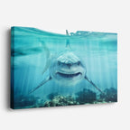 cuadro canvas vida marina sonrisa del océano horizontal