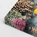 cuadro canvas vida marina tortuga del coral horizontal