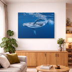 cuadro canvas vida marina canto de ballena horizontal