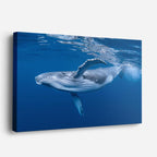cuadro canvas vida marina canto de ballena horizontal