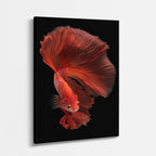 cuadro canvas vida marina fuego del betta vertical