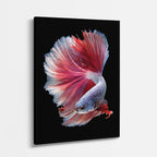 cuadro canvas vida marina velo rosado betta vertical
