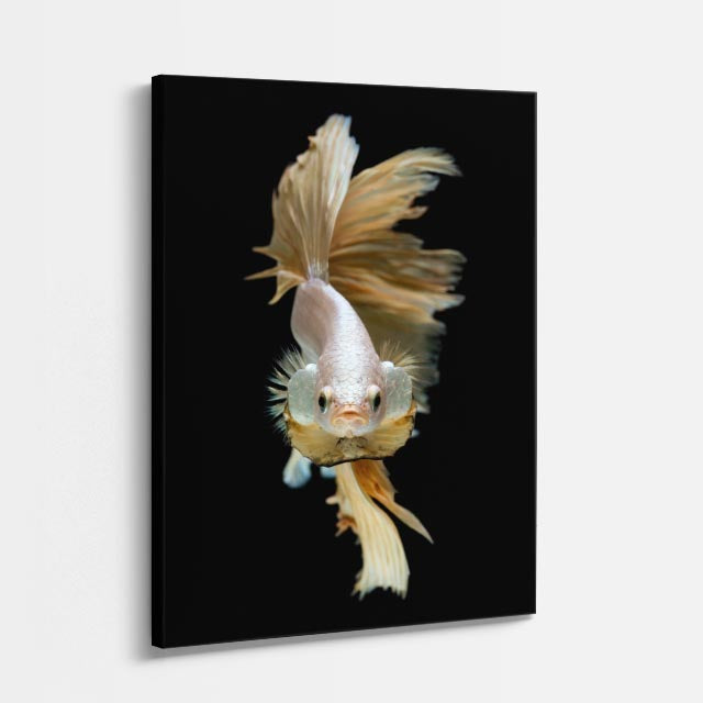 cuadro canvas vida marina guardia del acuario vertical