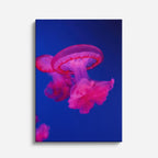 cuadro canvas vida marina medusa rosa neón vertical