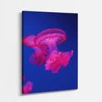 cuadro canvas vida marina medusa rosa neón vertical