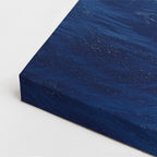 cuadro canvas vida marina salto de orca vertical
