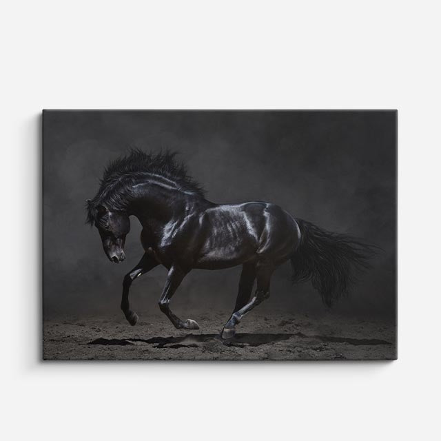 cuadro canvas vida salvaje majestuoso caballo negro horizontal