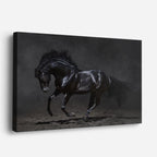 cuadro canvas vida salvaje majestuoso caballo negro horizontal