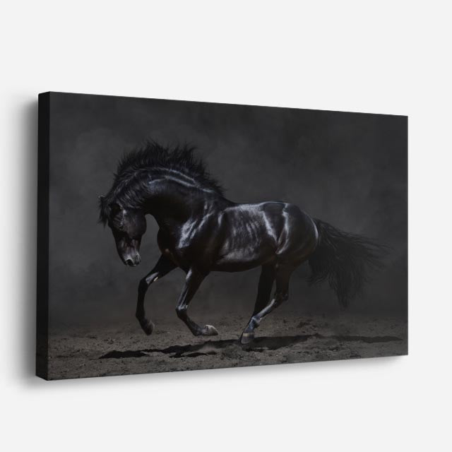 cuadro canvas vida salvaje majestuoso caballo negro horizontal