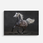 cuadro canvas vida salvaje blanco caballo en galope horizontal