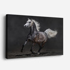 cuadro canvas vida salvaje blanco caballo en galope horizontal