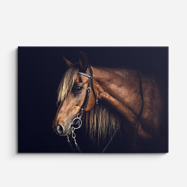 cuadro canvas vida salvaje retrato clásico de caballo horizontal