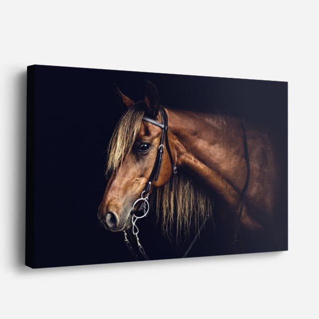 cuadro canvas vida salvaje retrato clásico de caballo horizontal