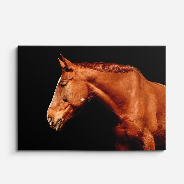 cuadro canvas vida salvaje perfil de caballo cobrizo horizontal