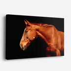 cuadro canvas vida salvaje perfil de caballo cobrizo horizontal