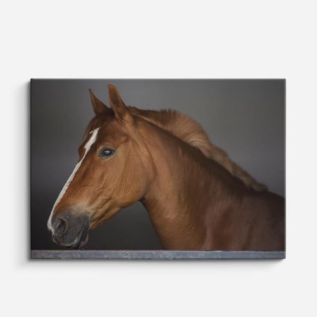cuadro canvas vida salvaje retrato de caballo dorado horizontal