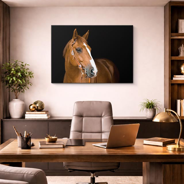 cuadro canvas vida salvaje retrato de caballo elegante horizontal