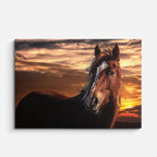 cuadro canvas vida salvaje silueta de caballo al atardecer horizontal