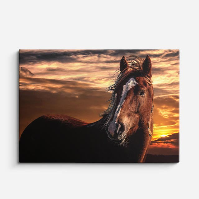 cuadro canvas vida salvaje silueta de caballo al atardecer horizontal