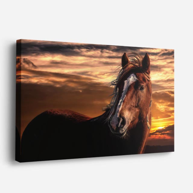 cuadro canvas vida salvaje silueta de caballo al atardecer horizontal