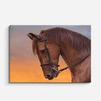 cuadro canvas vida salvaje retrato de caballo atardecer horizontal