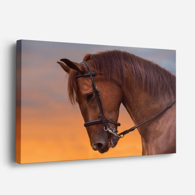 cuadro canvas vida salvaje retrato de caballo atardecer horizontal