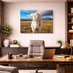 cuadro canvas vida salvaje caballo blanco en pradera horizontal